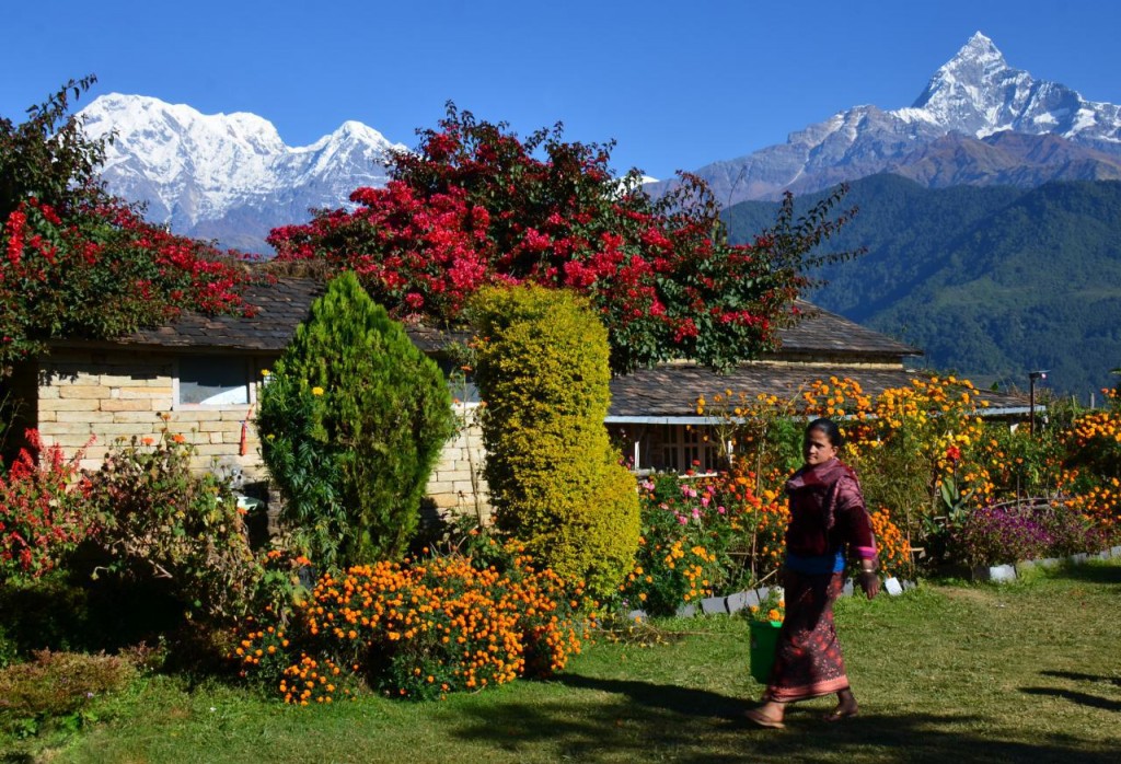 Best Treks from Pokhara